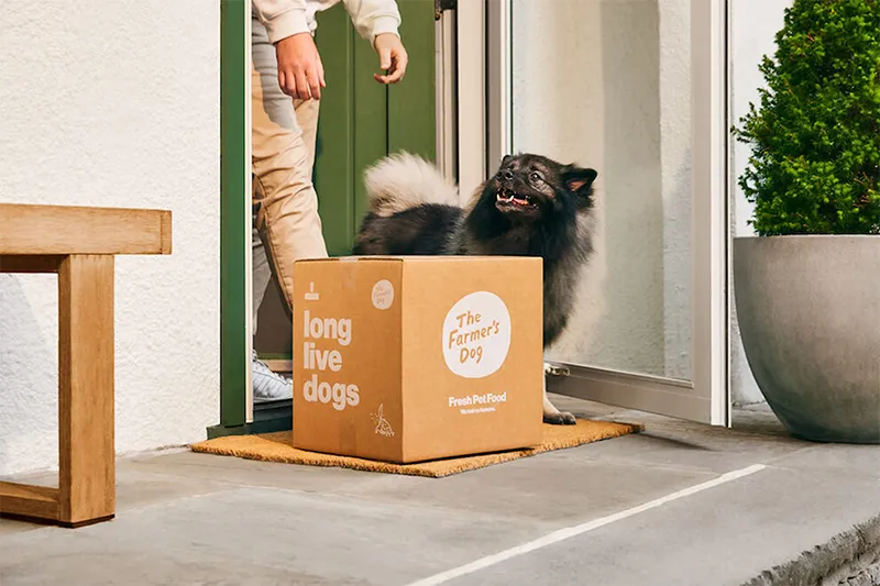 Viral-Ready Unboxing Pet Prenumeration korrugerade lådor